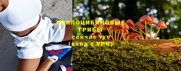 мескалин Лихославль